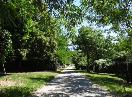 The campsite pitches The campsite pitches